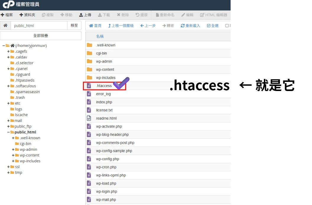 WordPress public_html htaccess 檔案位置教學